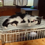 アロちゃん (4).JPG